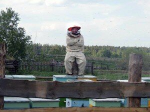 Пасечник Иван Киселев