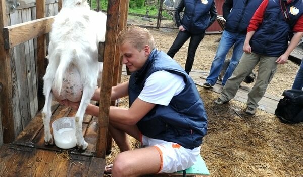 Алтай гостеприимный: все сельское сразу…